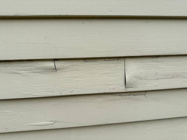 Best Shed Removal  in South El Monte, CA